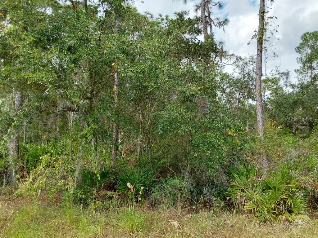 LOT 29 S Shore Drive Lake Wales FL 33898 P4923324 image10