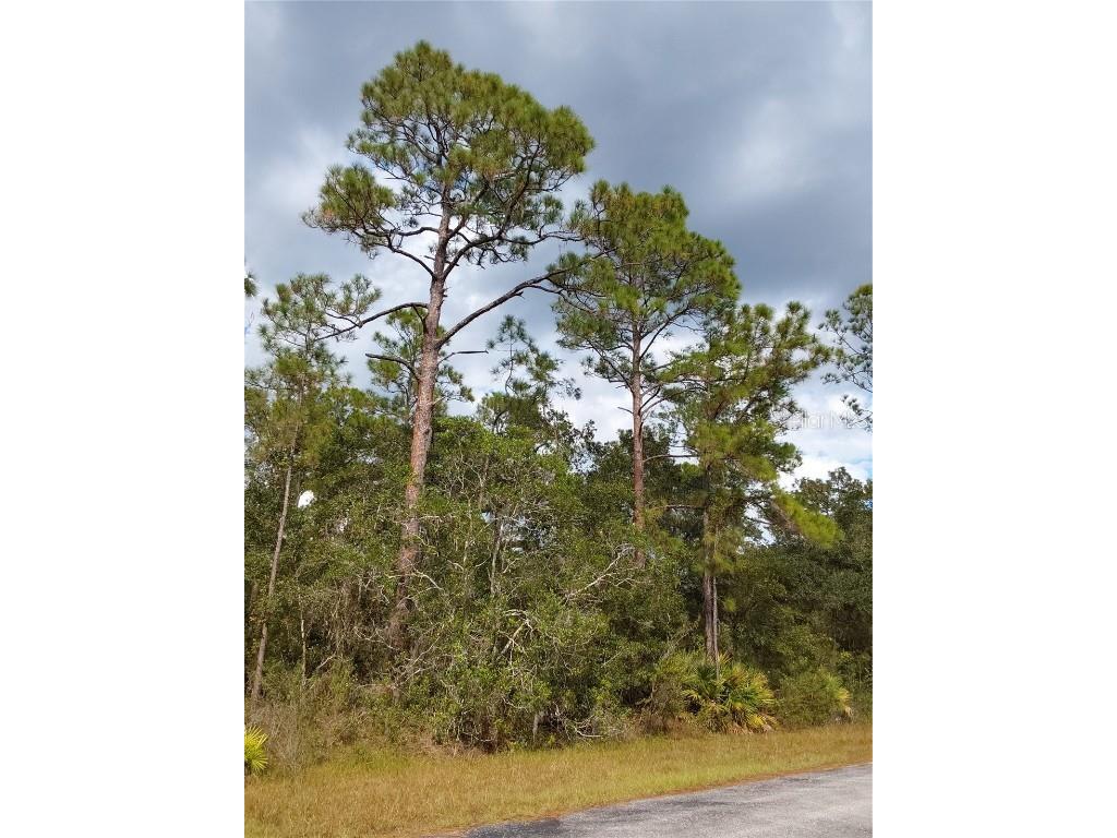 LOT 29 S Shore Drive Lake Wales FL 33898 P4923324 image11