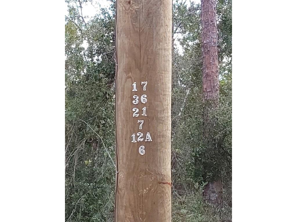 LOT 29 S Shore Drive Lake Wales FL 33898 P4923324 image18