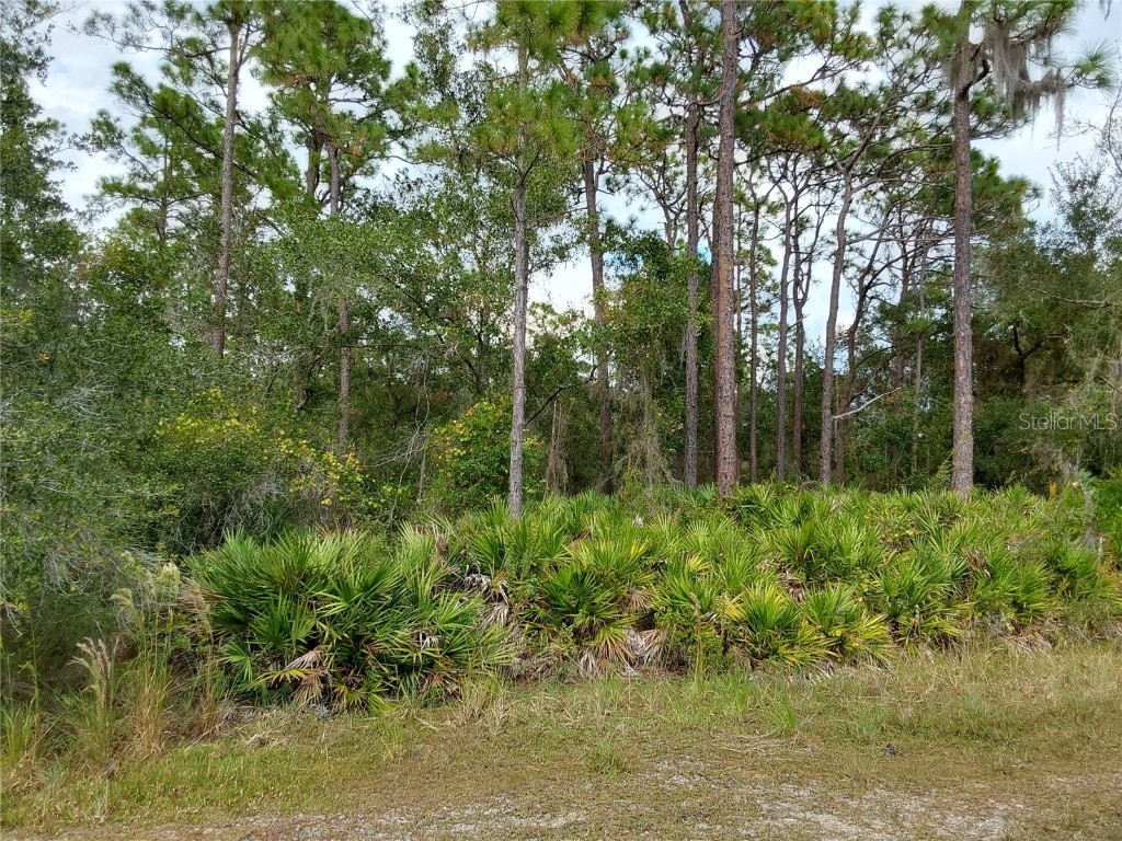 LOT 29 S Shore Drive Lake Wales FL 33898 P4923324 image5