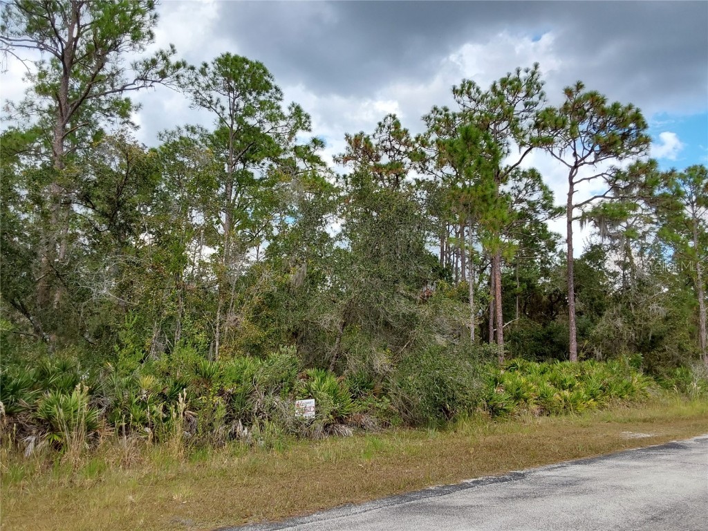 LOT 29 S Shore Drive Lake Wales FL 33898 P4923324 image6