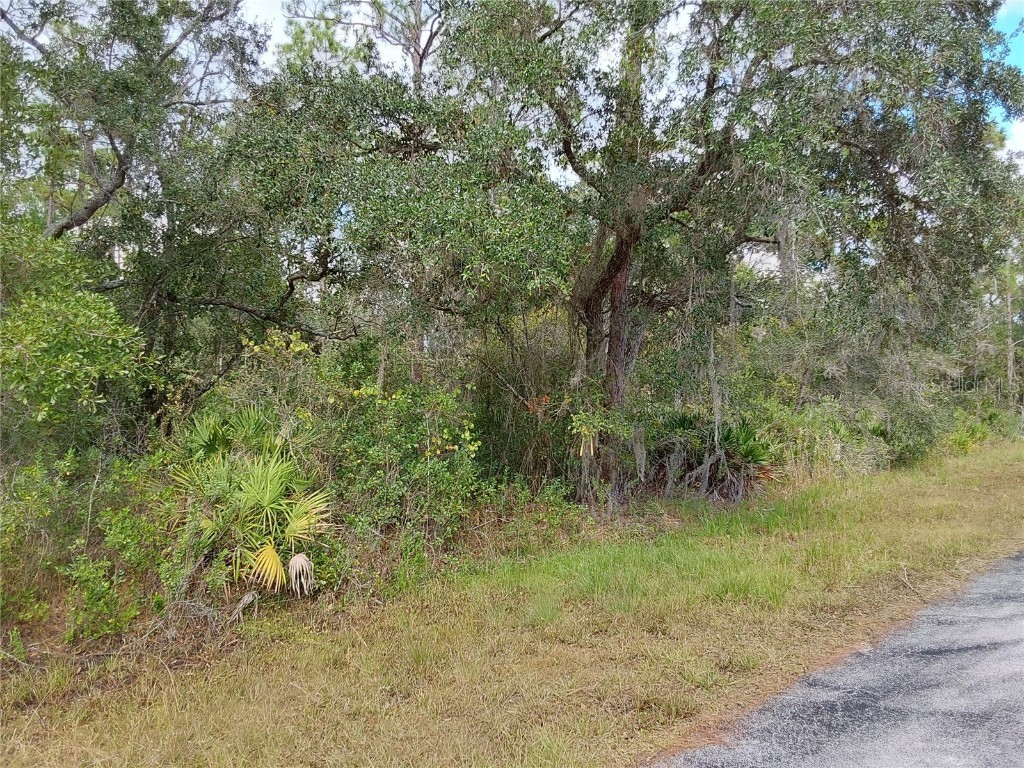 LOT 29 S Shore Drive Lake Wales FL 33898 P4923324 image7