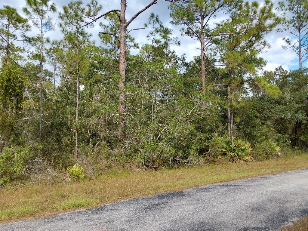 LOT 29 S Shore Drive Lake Wales FL 33898 P4923324 image8