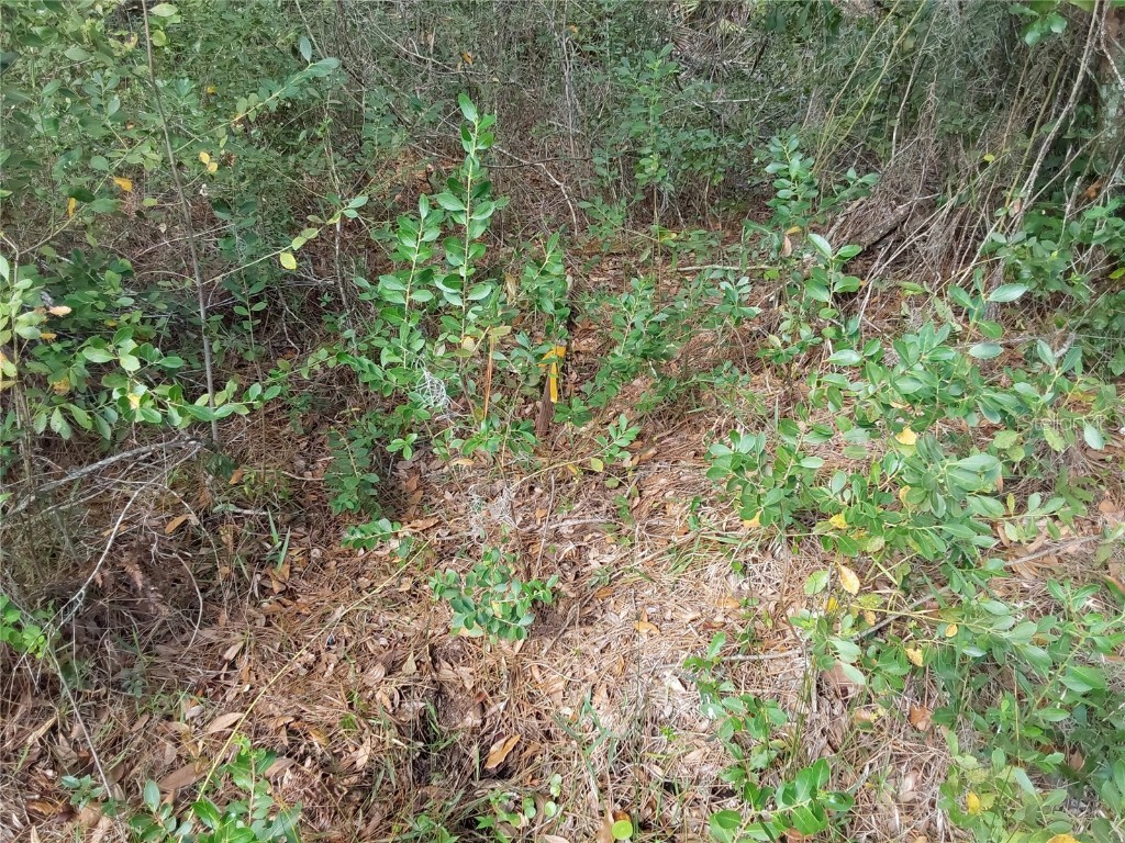 LOT 29 S Shore Drive Lake Wales FL 33898 P4923324 image9