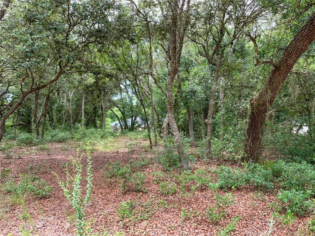 LOT 3 Calamondin Street Lady Lake FL 32159 G5085533 image1