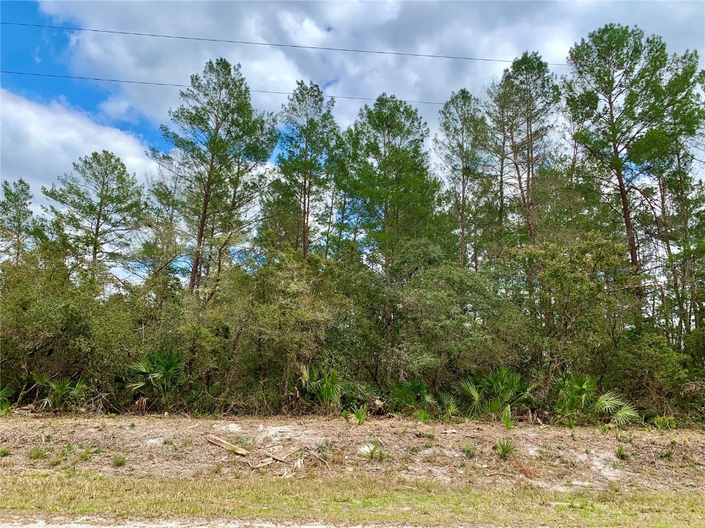 LOT 3 Chinaberry Street Eustis FL 32736 - LAKE NORRIS G5078332 image1