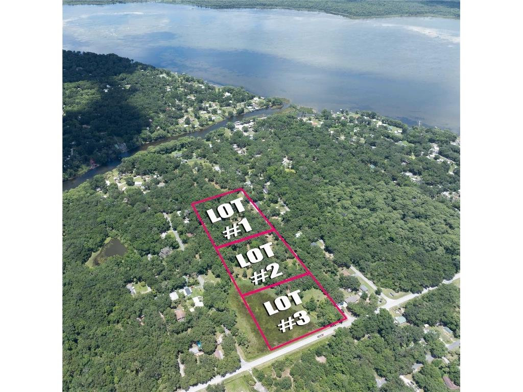 LOT 3 Cr 419 Lake Panasoffkee FL 33538 G5086216 image1
