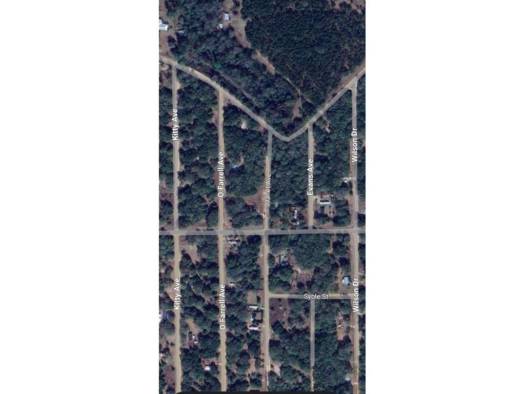 LOT 3 Janet Avenue Interlachen FL 32148 OM711491 image1