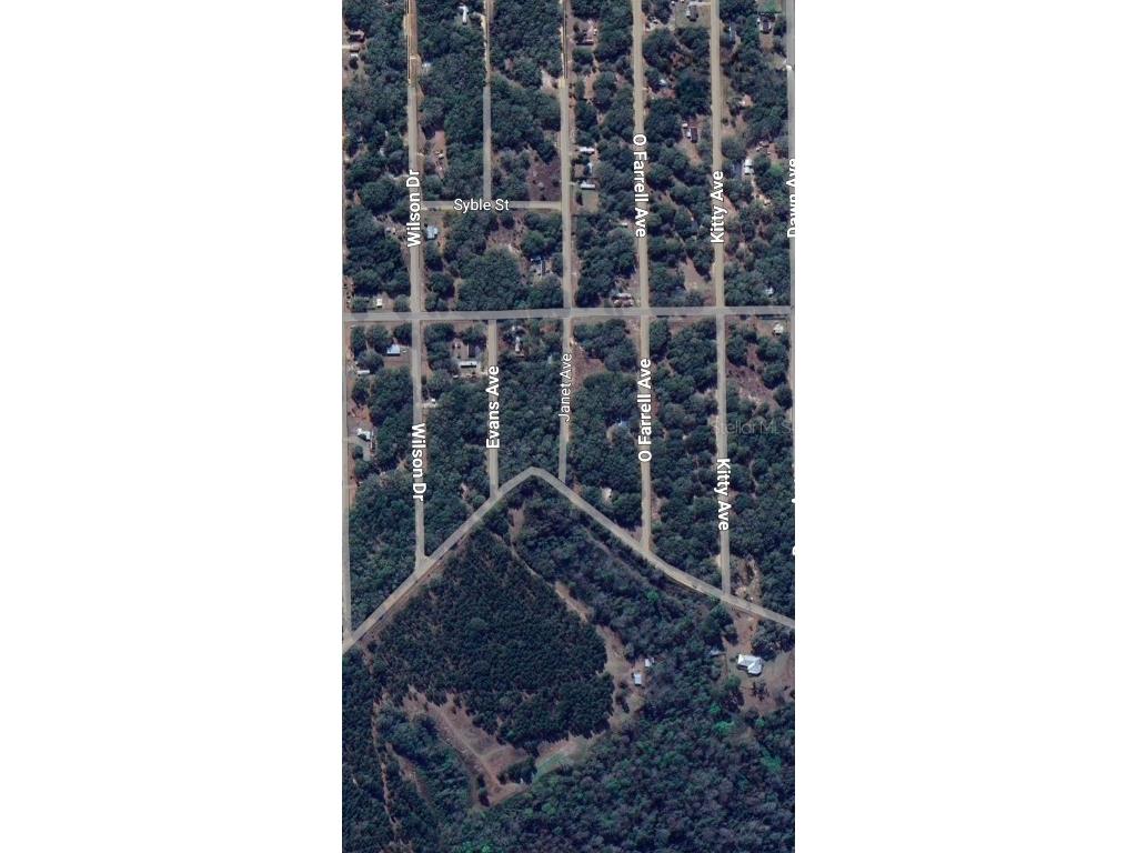 LOT 3 Janet Avenue Interlachen FL 32148 OM711491 image2