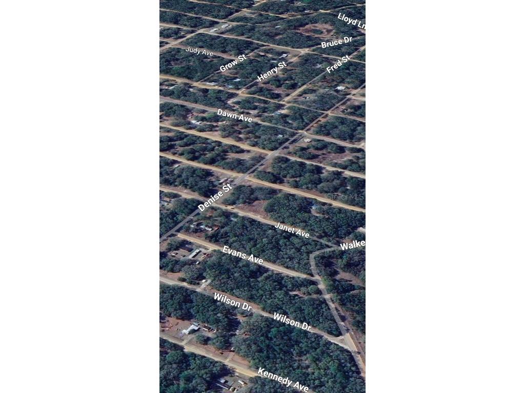LOT 3 Janet Avenue Interlachen FL 32148 OM711491 image3