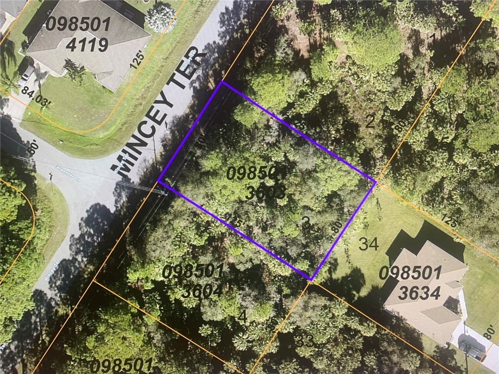 LOT 3 Mincey Terrace North Port FL 34286 N6117397 image1