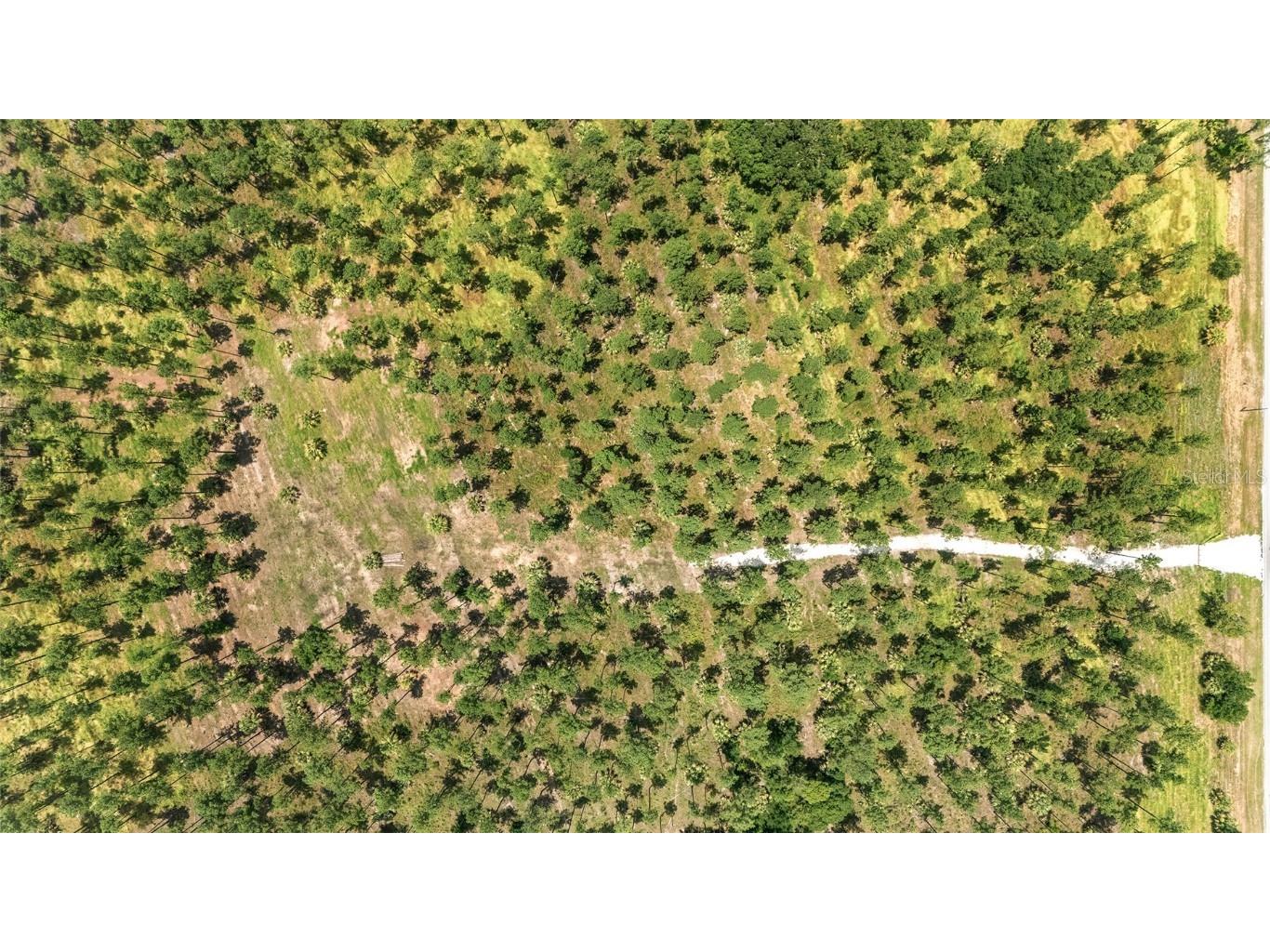 LOT 3 NE 90th Street Road Ocala FL 34488 OM680574 image1