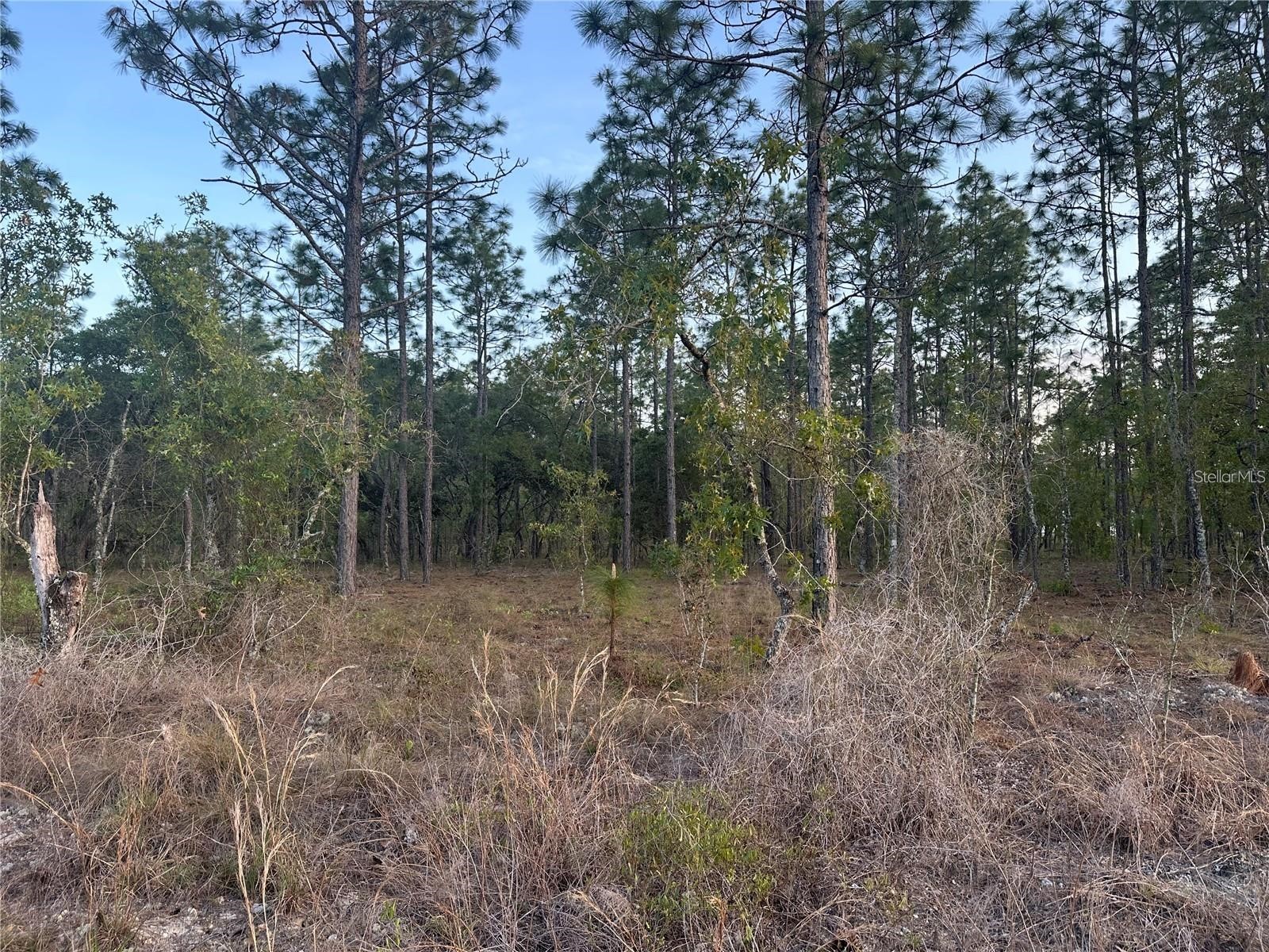 LOT 3 NW Amberjack Ave. Dunnellon FL 34431 OM723561 image1