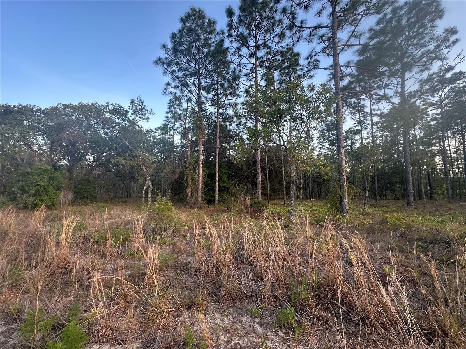 LOT 3 NW Amberjack Ave. Dunnellon FL 34431 OM723561 image2