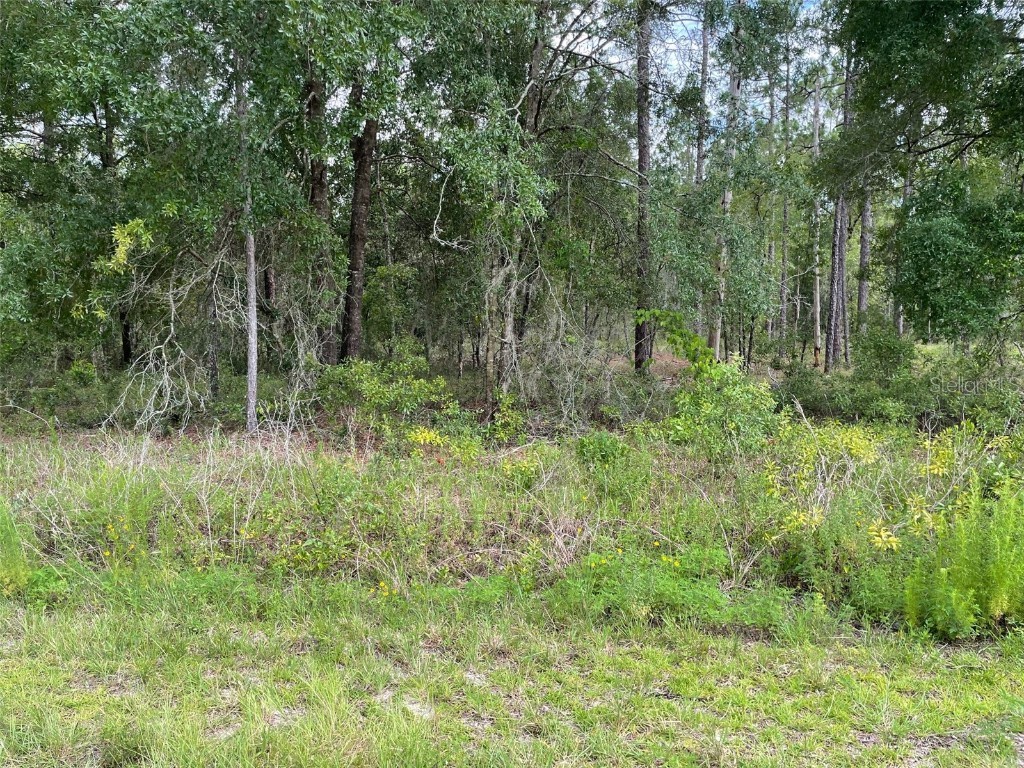 LOT 3 NW Falcon Avenue Dunnellon FL 34431 OM705633 image1