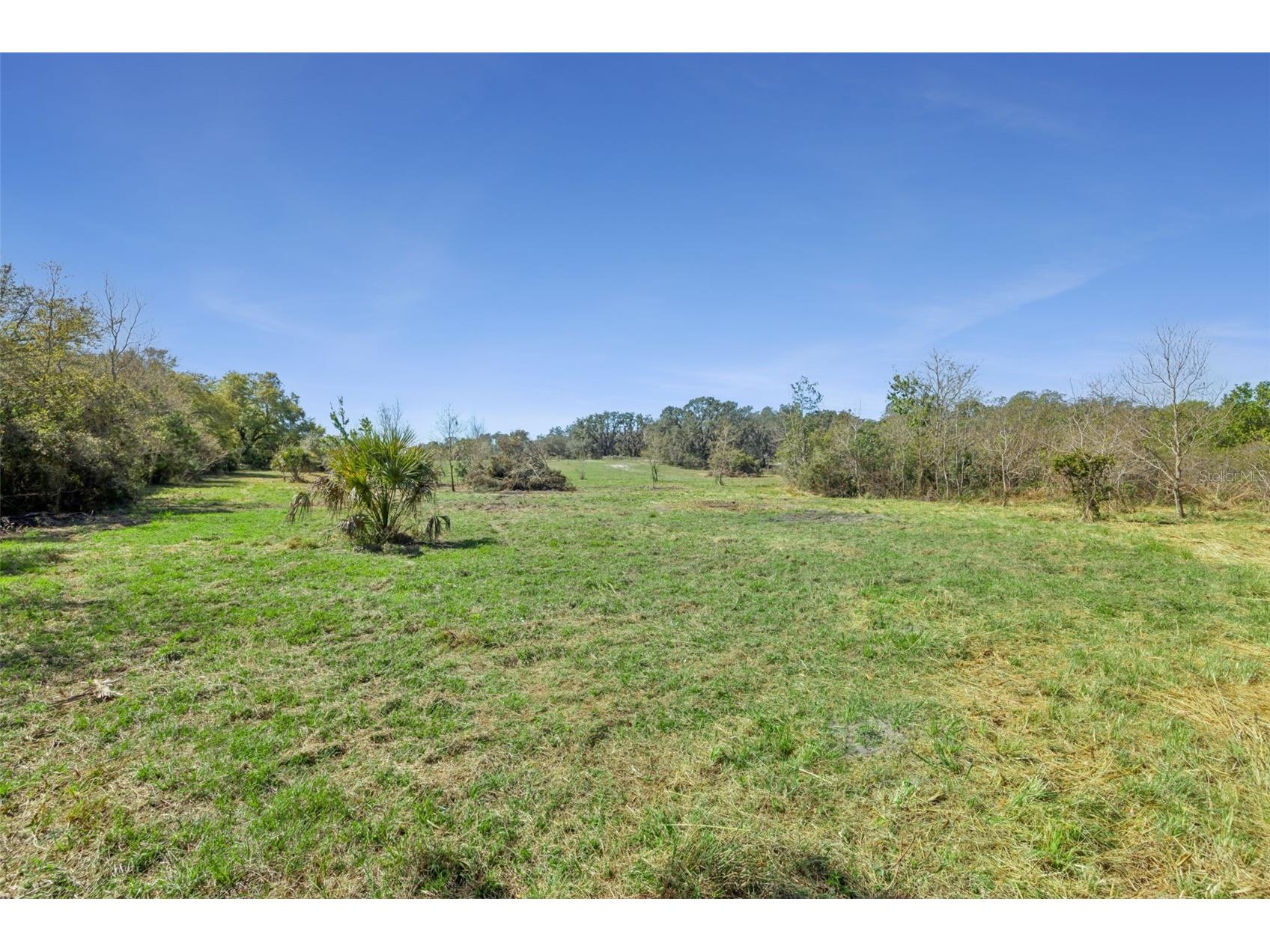 LOT 3 Oak Hollow Oviedo FL 32765 O6390276 image7