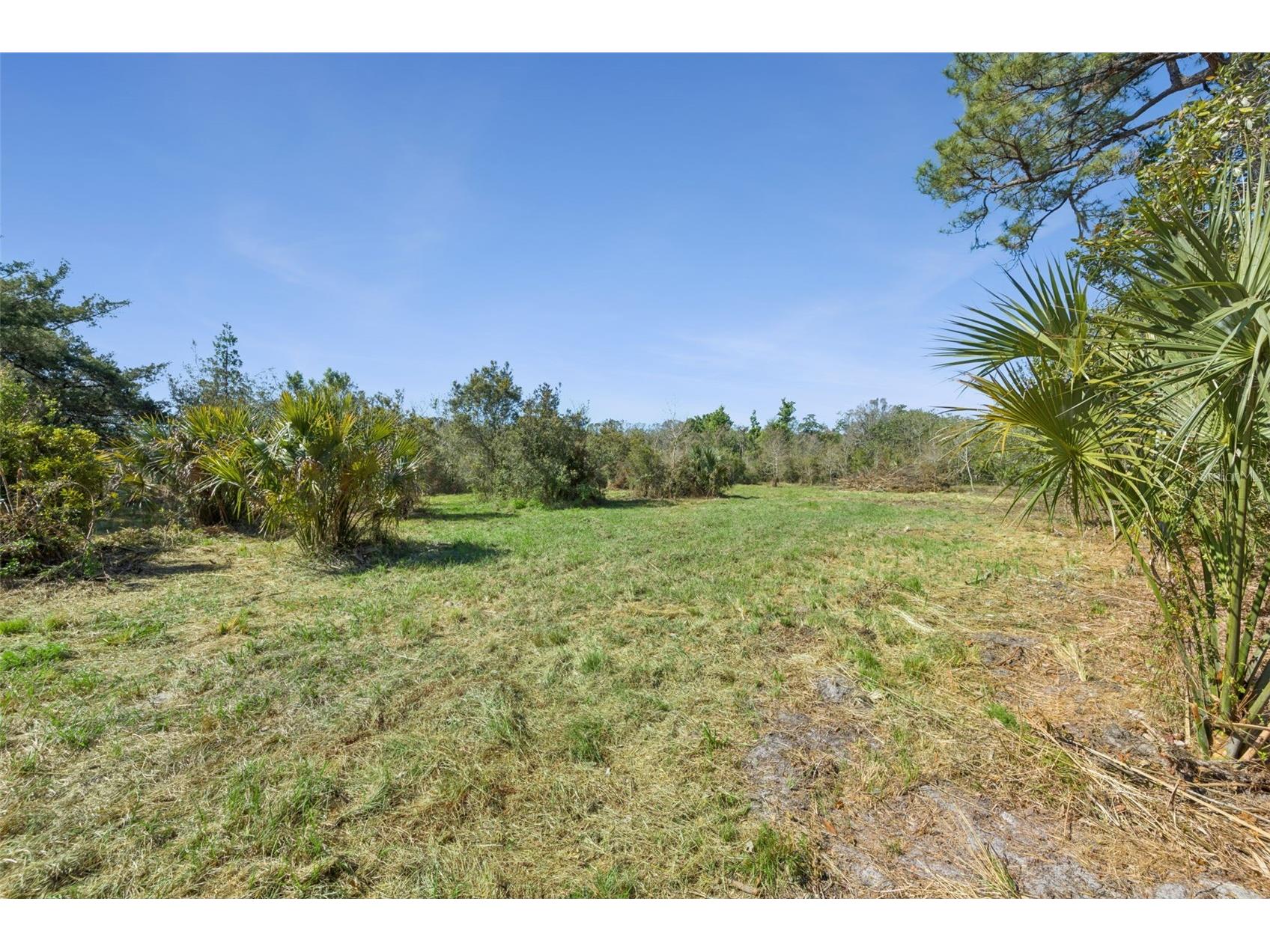 LOT 3 Oak Hollow Oviedo FL 32765 O6390276 image9
