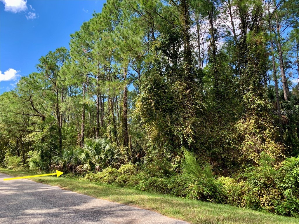 LOT 3 Quince Avenue Eustis FL 32736 - LAKE NORRIS G5074570 image1