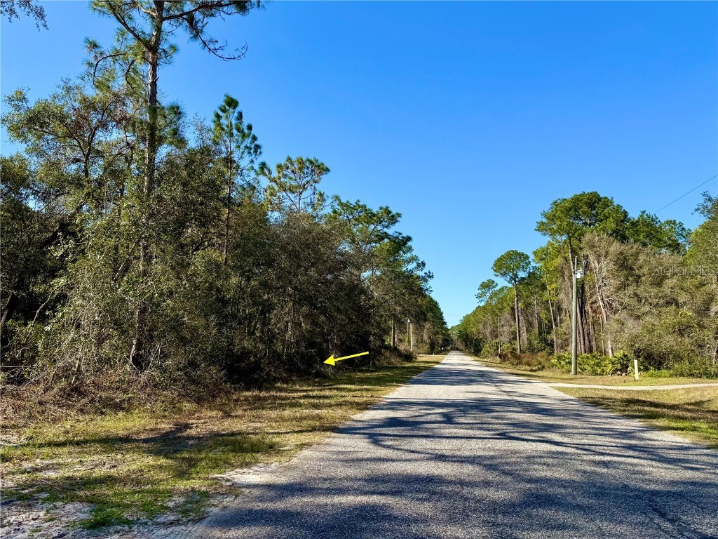 LOT 3 Quince Avenue Eustis FL 32736 - LAKE NORRIS G5091407 image1