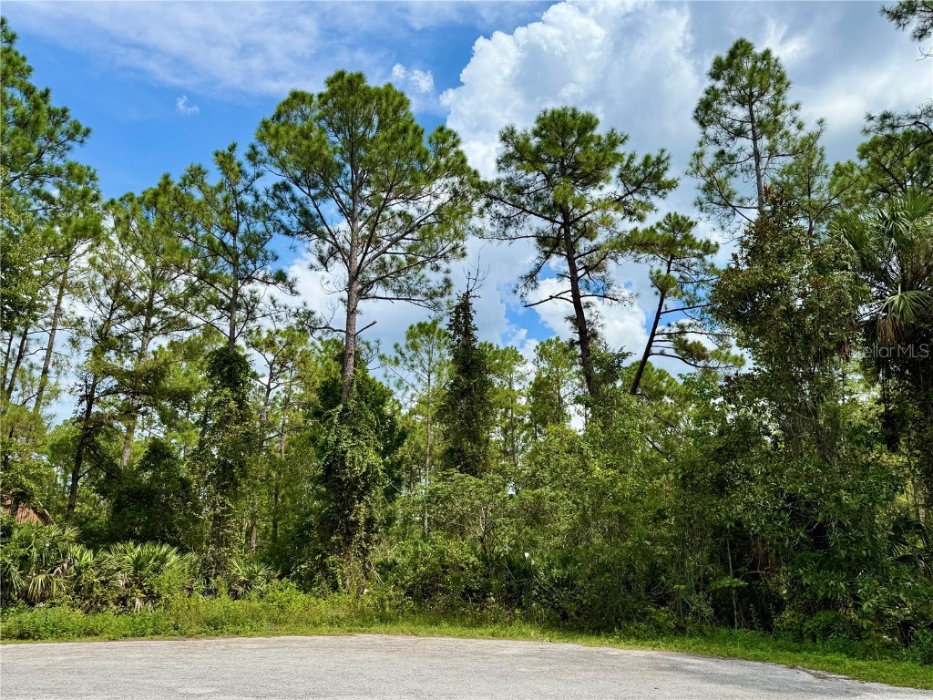 LOT 3 Tamarac Street Eustis FL 32736 G5101467 image1