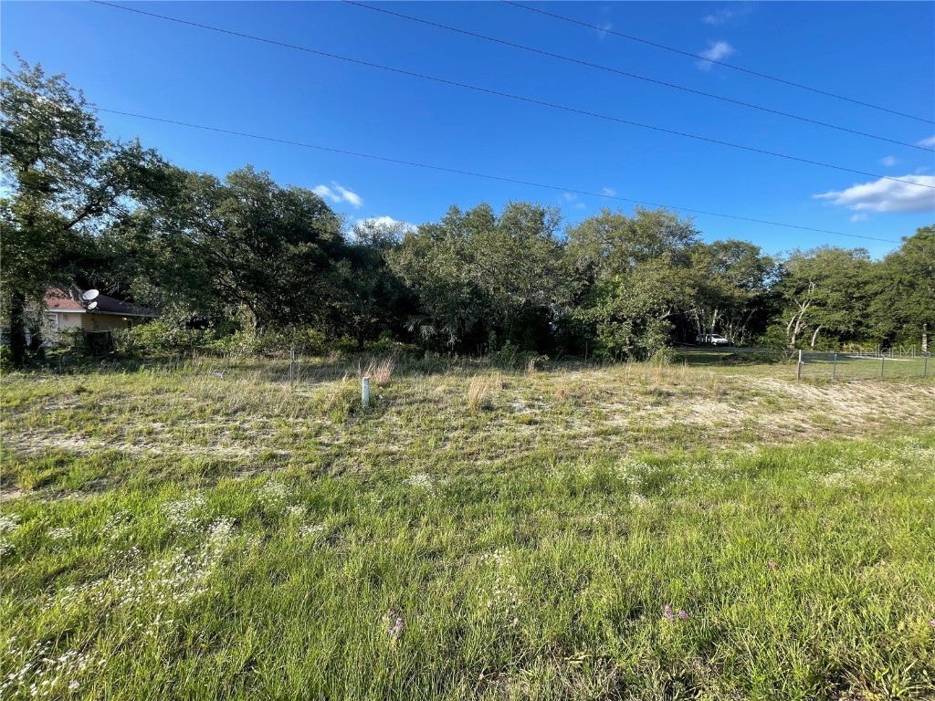 LOT 3 Us-27 Alt Williston FL 32696 W7855544 image1