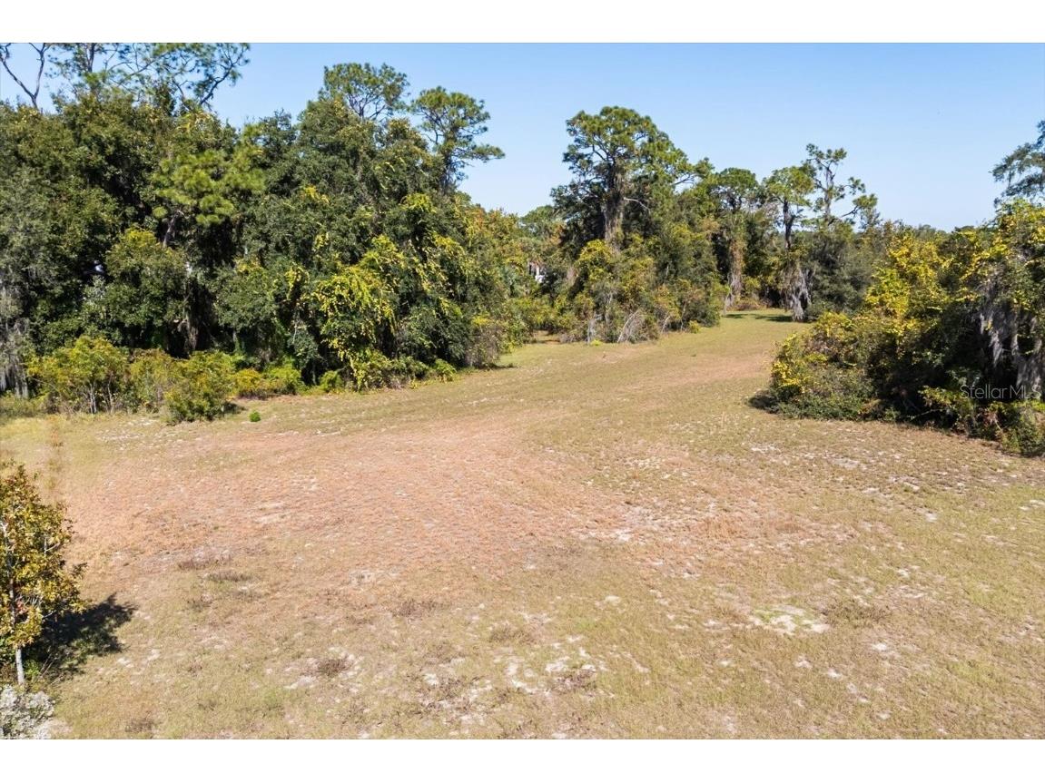 LOT 30 Trotting Horse Ln Tavares FL 32778 G5104616 image29