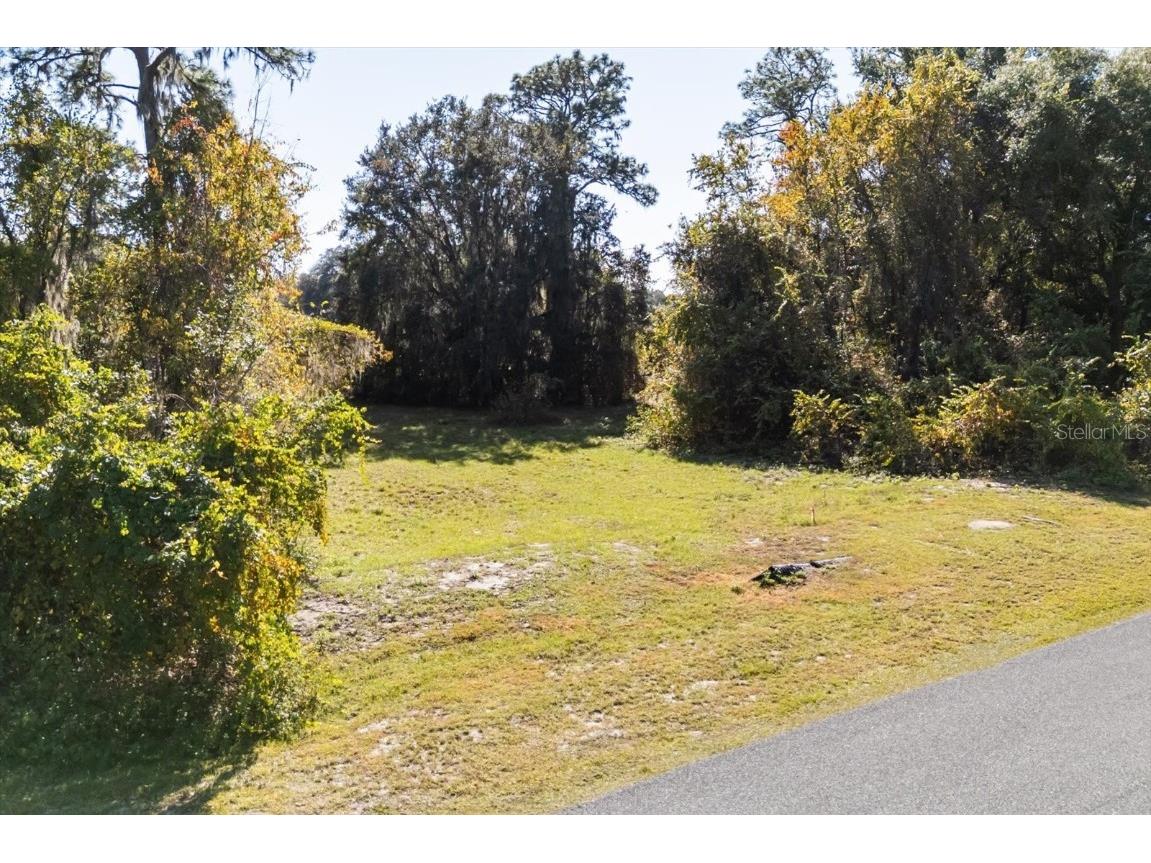 LOT 30 Trotting Horse Ln Tavares FL 32778 G5104616 image31