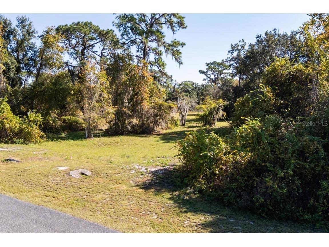 LOT 30 Trotting Horse Ln Tavares FL 32778 G5104616 image32
