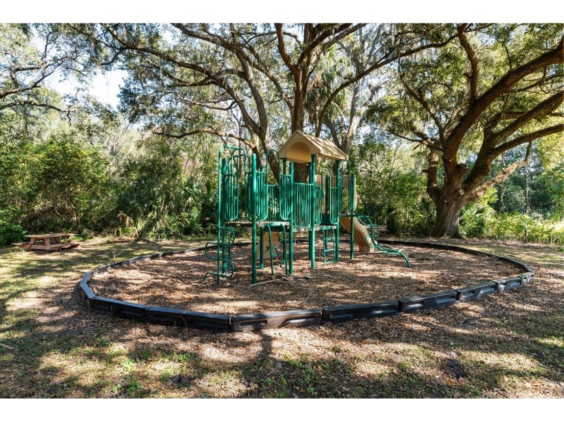 LOT 30 Trotting Horse Ln Tavares FL 32778 G5104616 image38