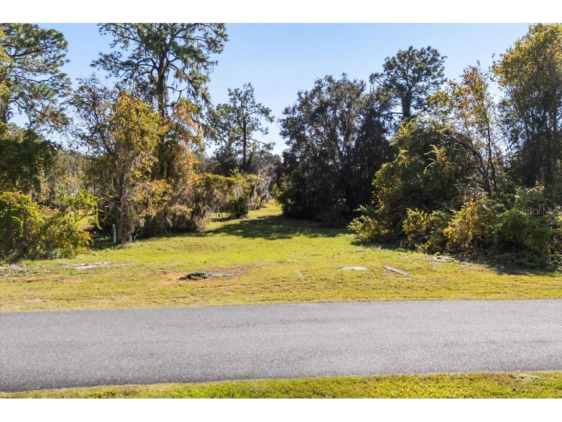 LOT 30 Trotting Horse Ln Tavares FL 32778 G5104616 image7