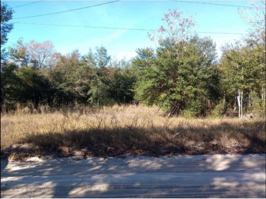 LOT 31 NW 56th Avenue Ocala FL 34482 OM669444 image1