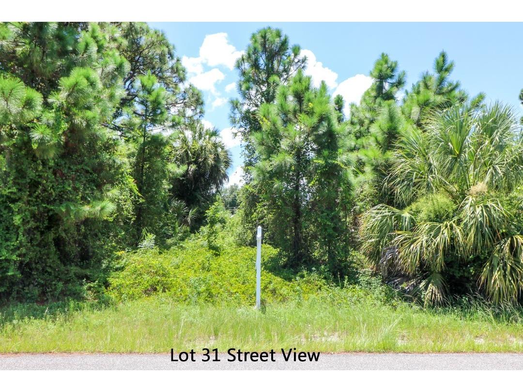 LOT 31 Venetia Avenue North Port FL 34287 C7431228 image12