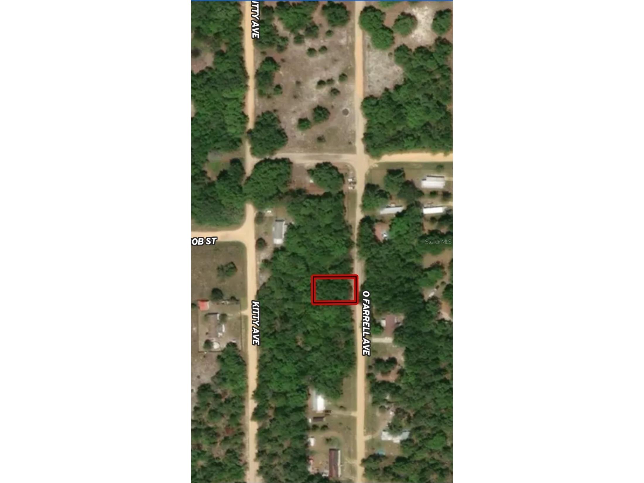LOT 32 Offarrel Drive Interlachen FL 32148 OM710325 image1