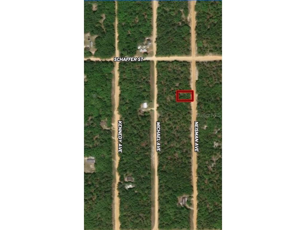 LOT 33 Neisman Avenue Interlachen FL 32148 OM710311 image1