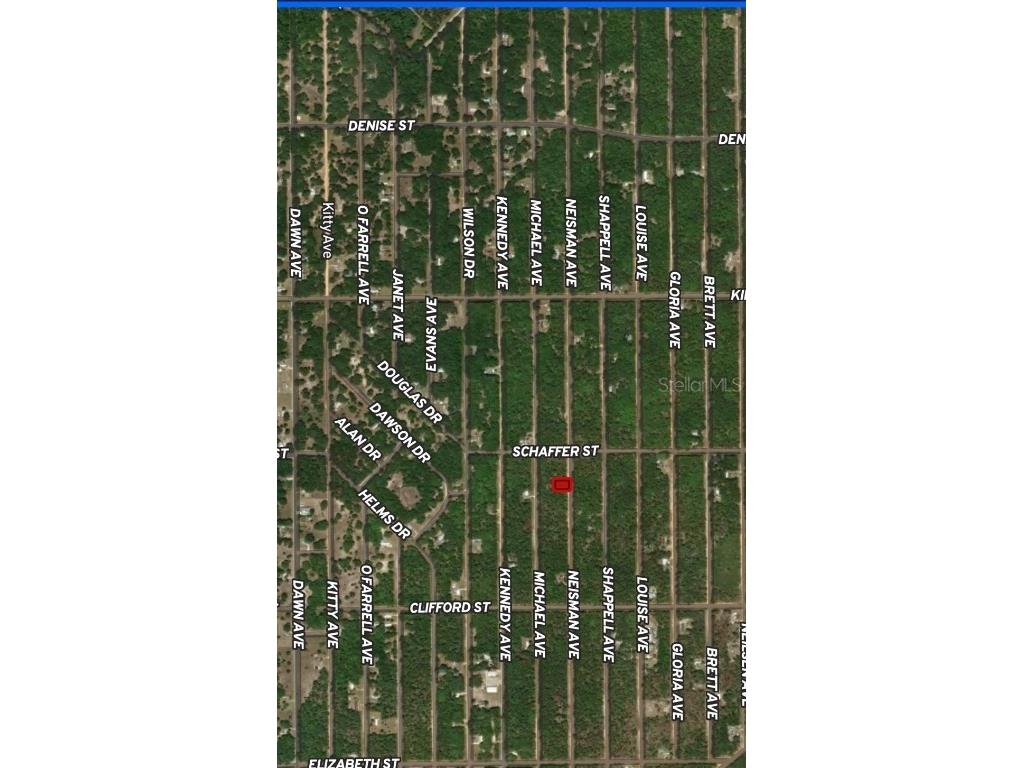 LOT 33 Neisman Avenue Interlachen FL 32148 OM710311 image2