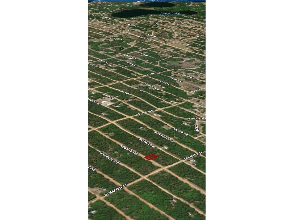 LOT 33 Neisman Avenue Interlachen FL 32148 OM710311 image4