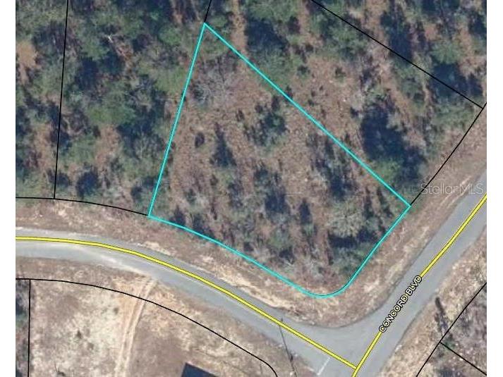 LOT 34 Concord Boulevard Chipley FL 32428 W7848566 image1