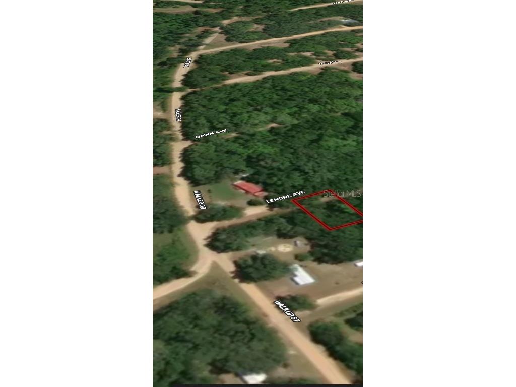 LOT 34 Lenore Avenue Interlachen FL 32148 OM710577 image3