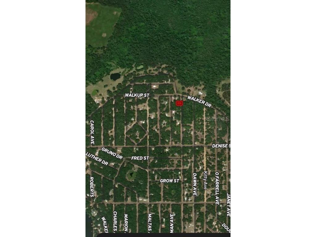 LOT 34 Lenore Avenue Interlachen FL 32148 OM710577 image5