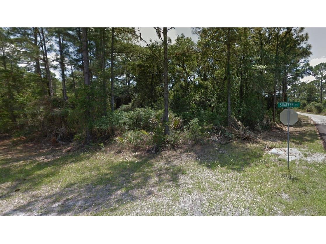LOT 35 Dorie Street North Port FL 34291 C7514092 image3