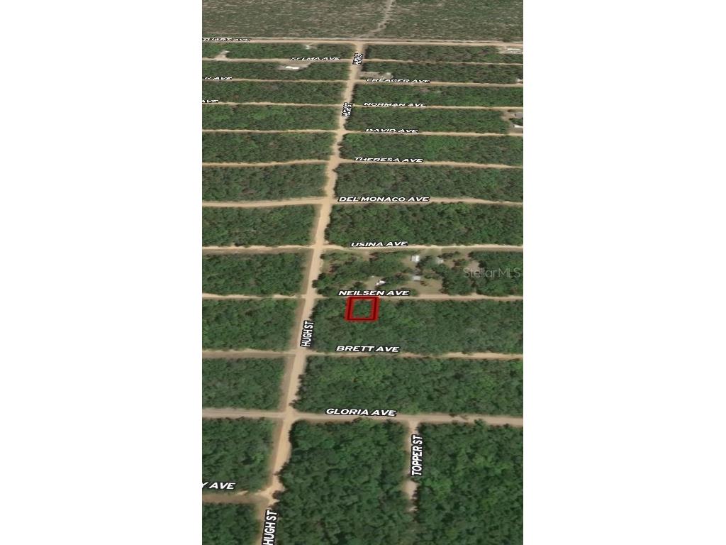 LOT 35 Neilsen Avenue Interlachen FL 32148 OM710501 image2