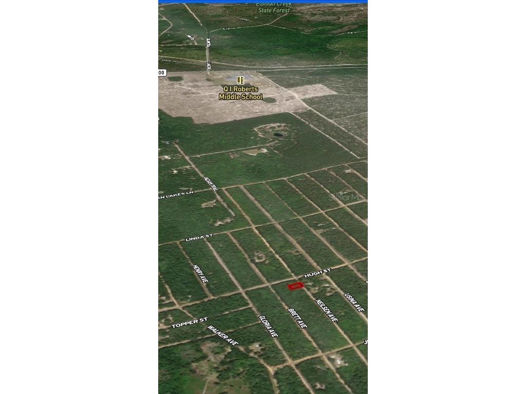 LOT 35 Neilsen Avenue Interlachen FL 32148 OM710501 image3