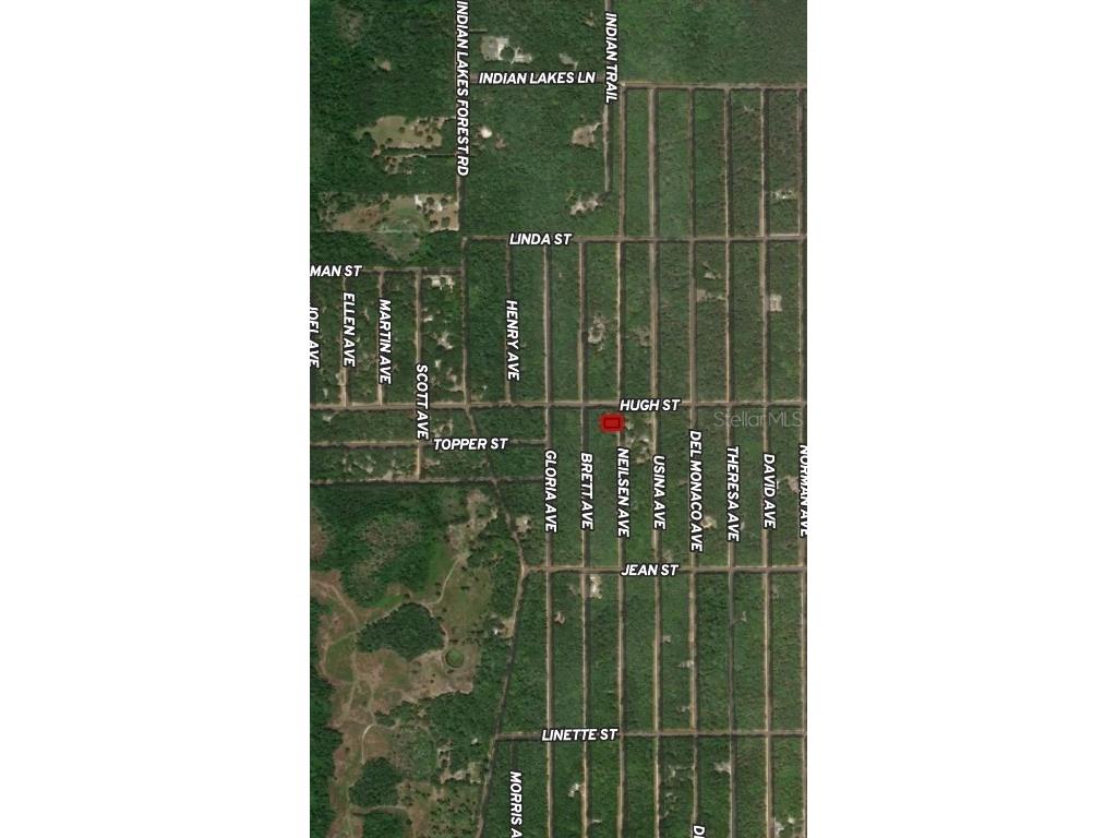 LOT 35 Neilsen Avenue Interlachen FL 32148 OM710501 image4