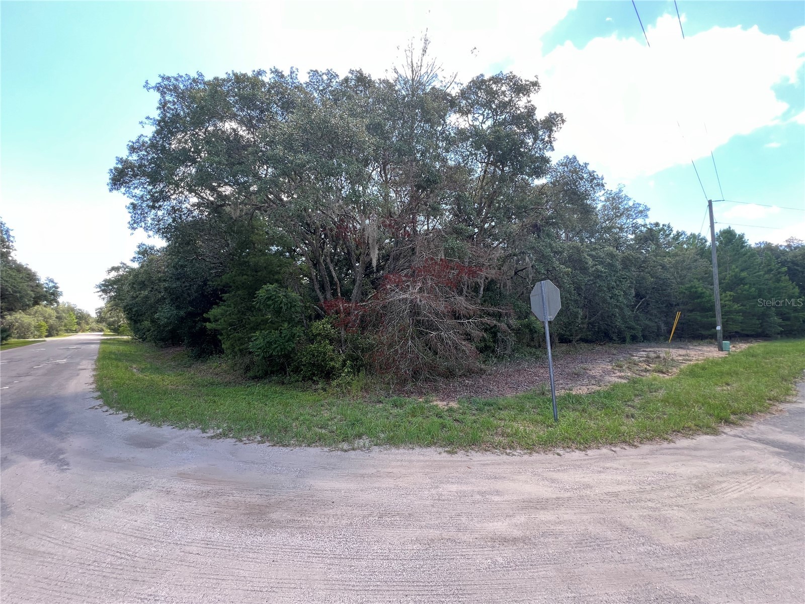 LOT 36 BLK1140 Fisher Way Trail Ocklawaha FL 32179 OM727954 image1