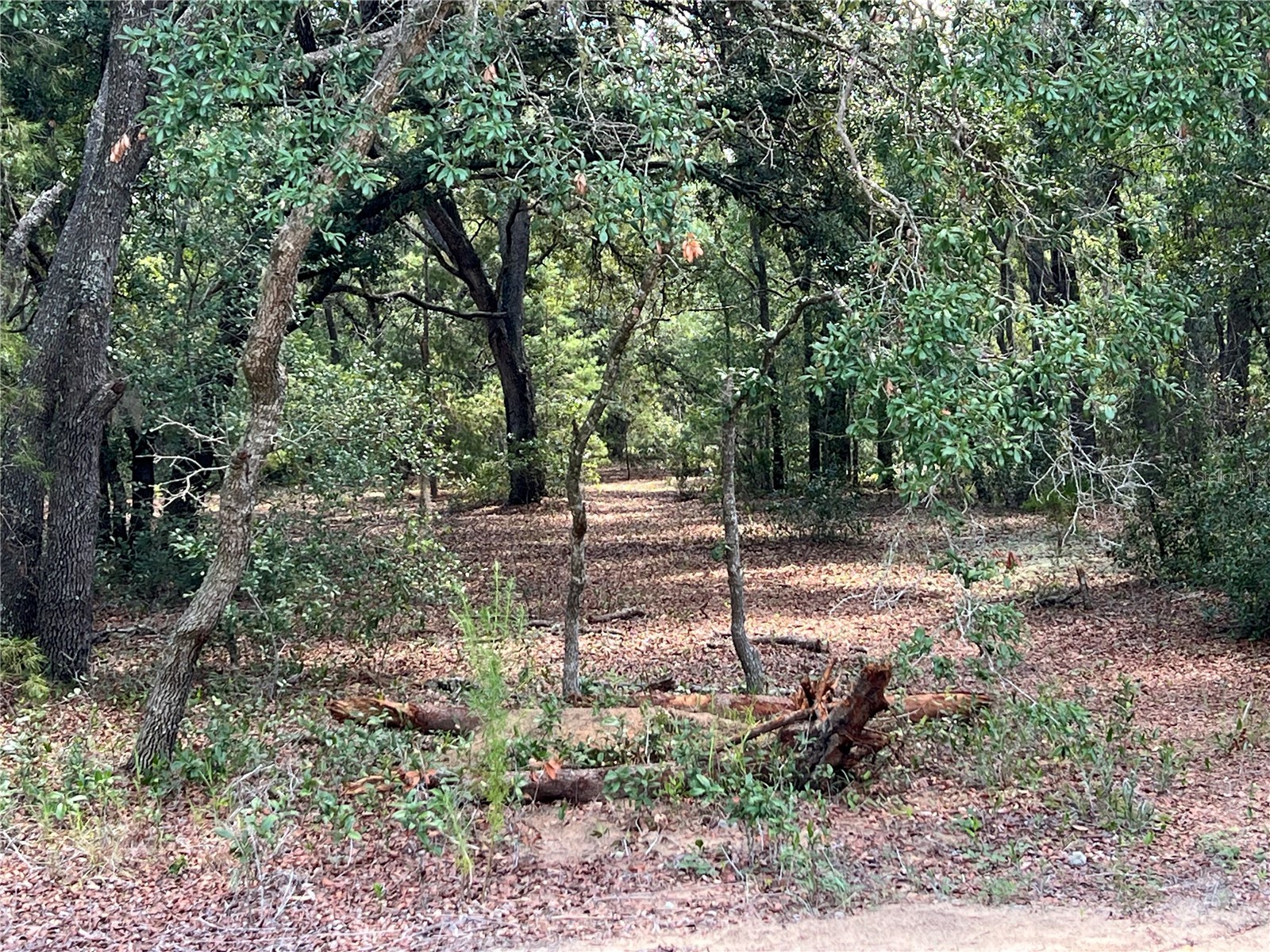 LOT 36 BLK1140 Fisher Way Trail Ocklawaha FL 32179 OM727954 image3