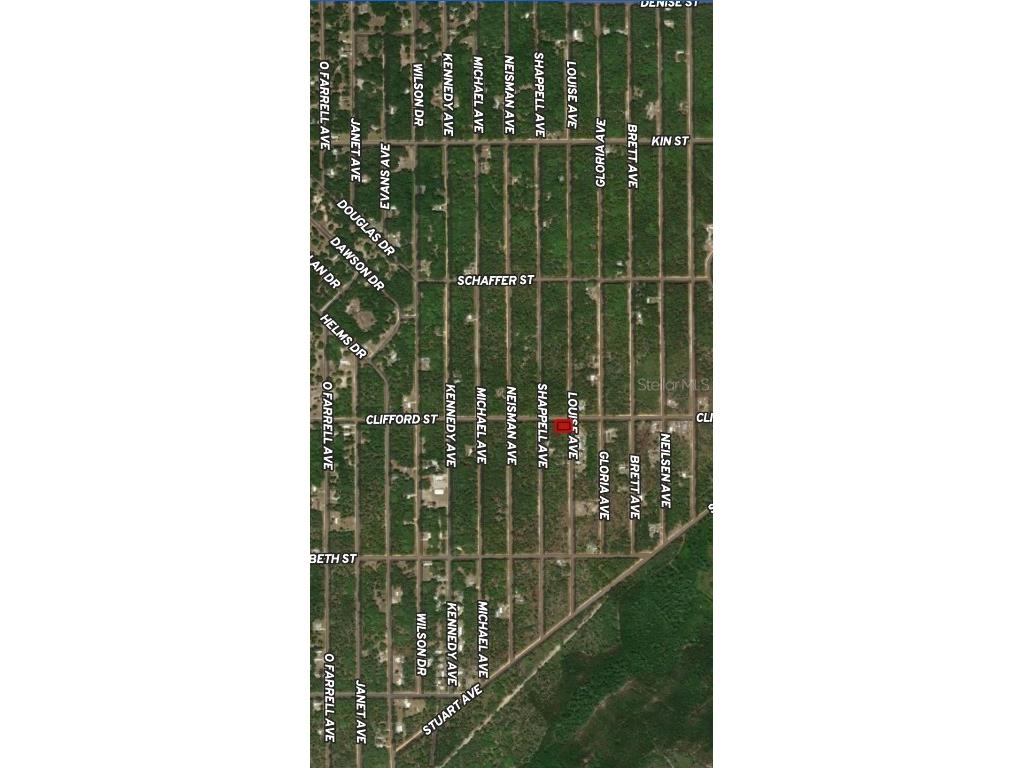 LOT 36 Louise Avenue Interlachen FL 32148 OM710605 image1