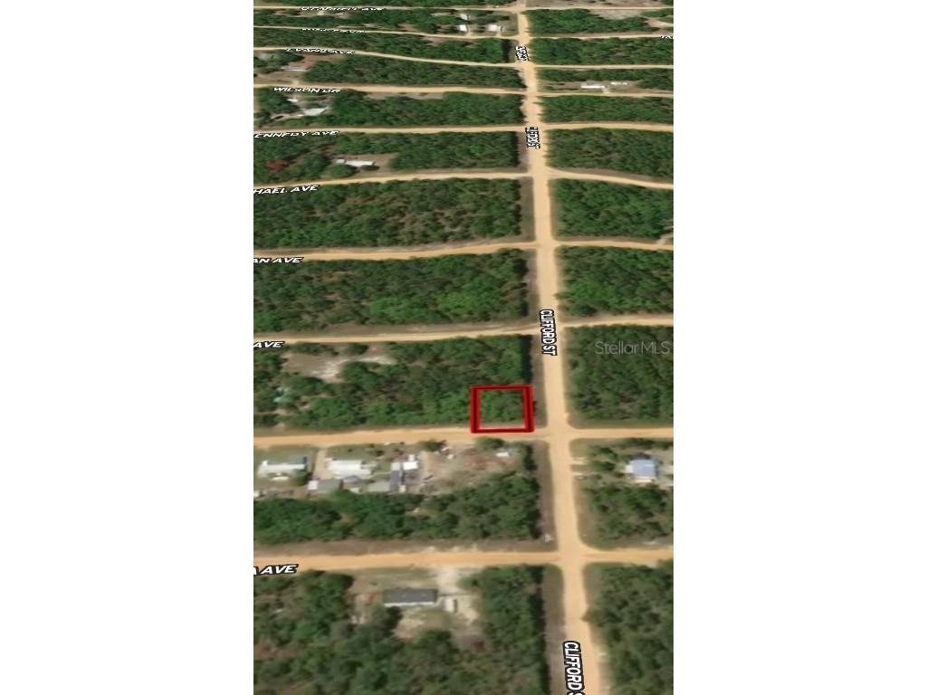 LOT 36 Louise Avenue Interlachen FL 32148 OM710605 image3