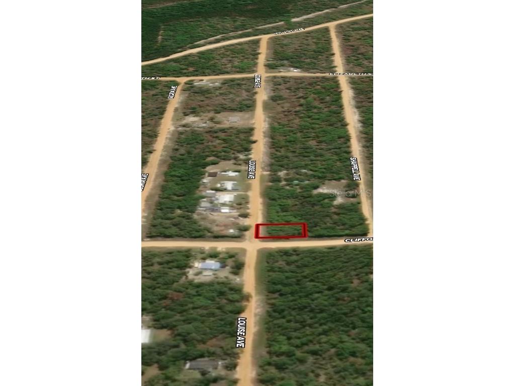 LOT 36 Louise Avenue Interlachen FL 32148 OM710605 image4