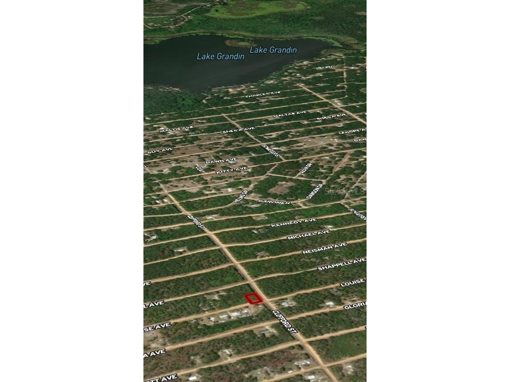 LOT 36 Louise Avenue Interlachen FL 32148 OM710605 image5