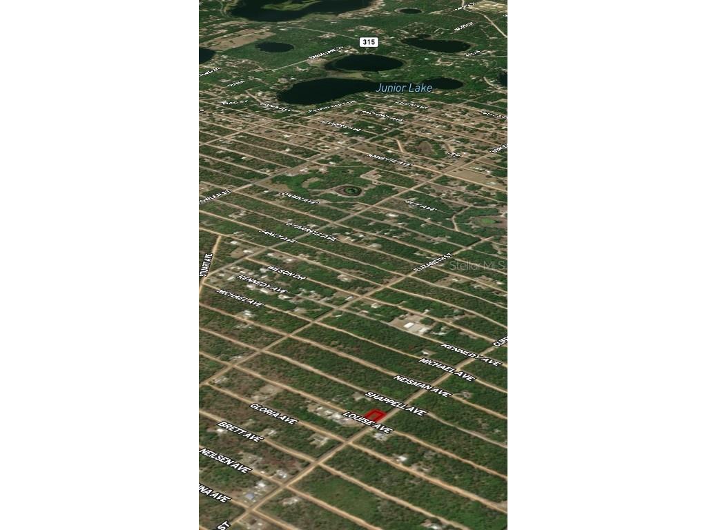 LOT 36 Louise Avenue Interlachen FL 32148 OM710605 image6